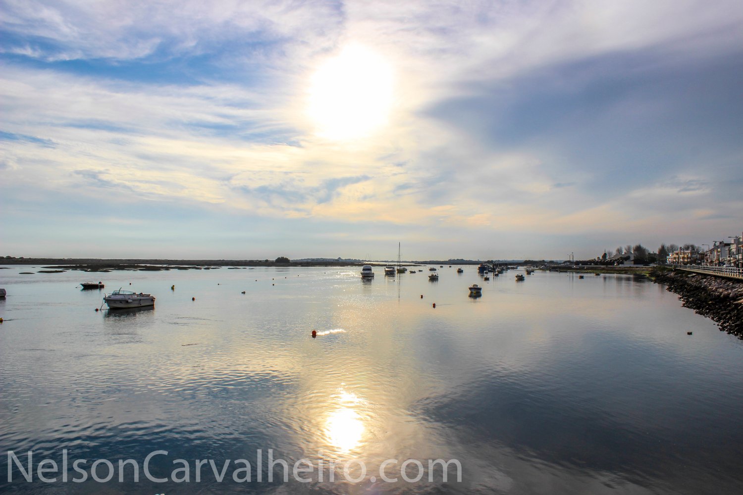 Nelson_Carvalheiro_Tavira-1-30