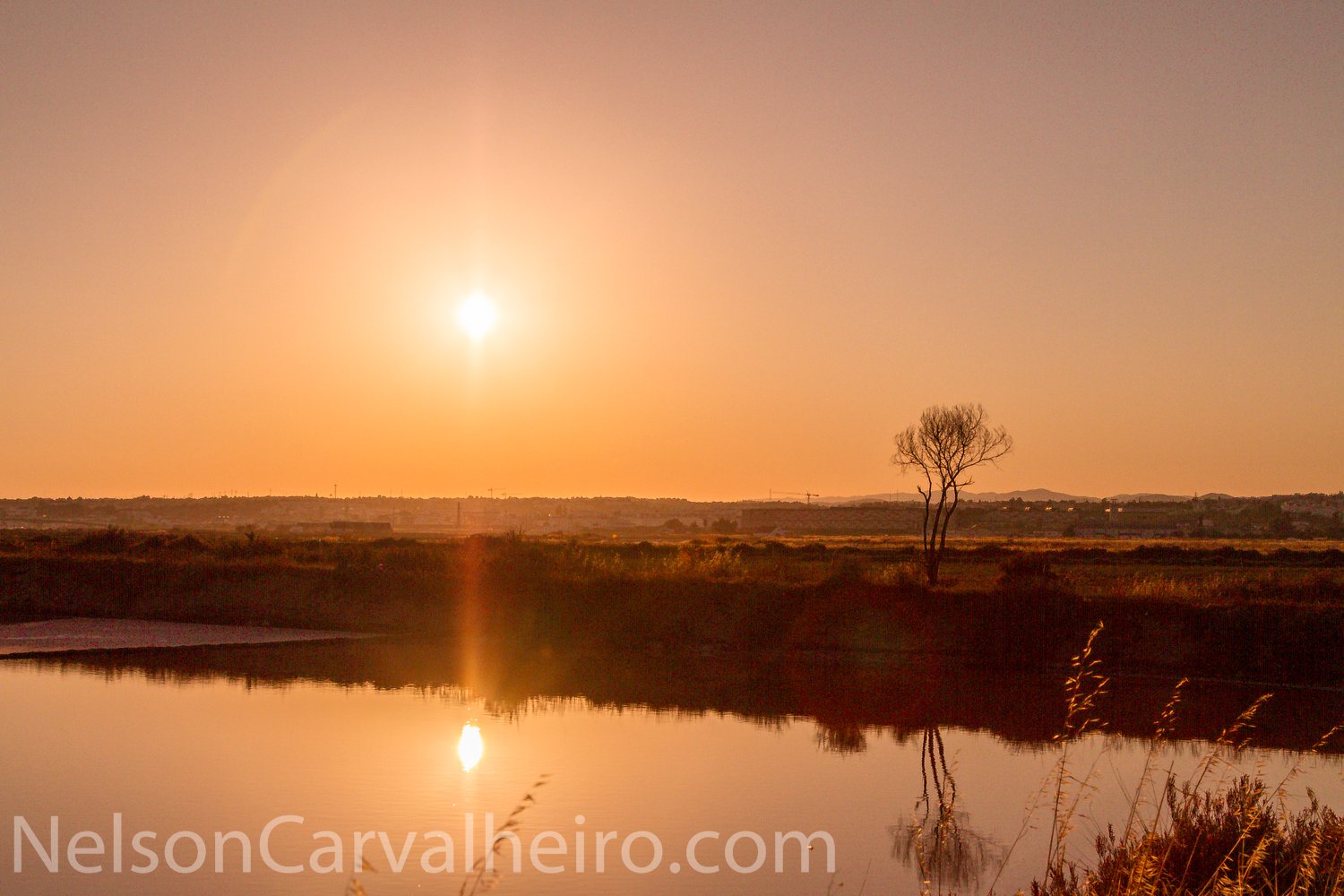 Nelson_Carvalheiro_Tavira-1-5