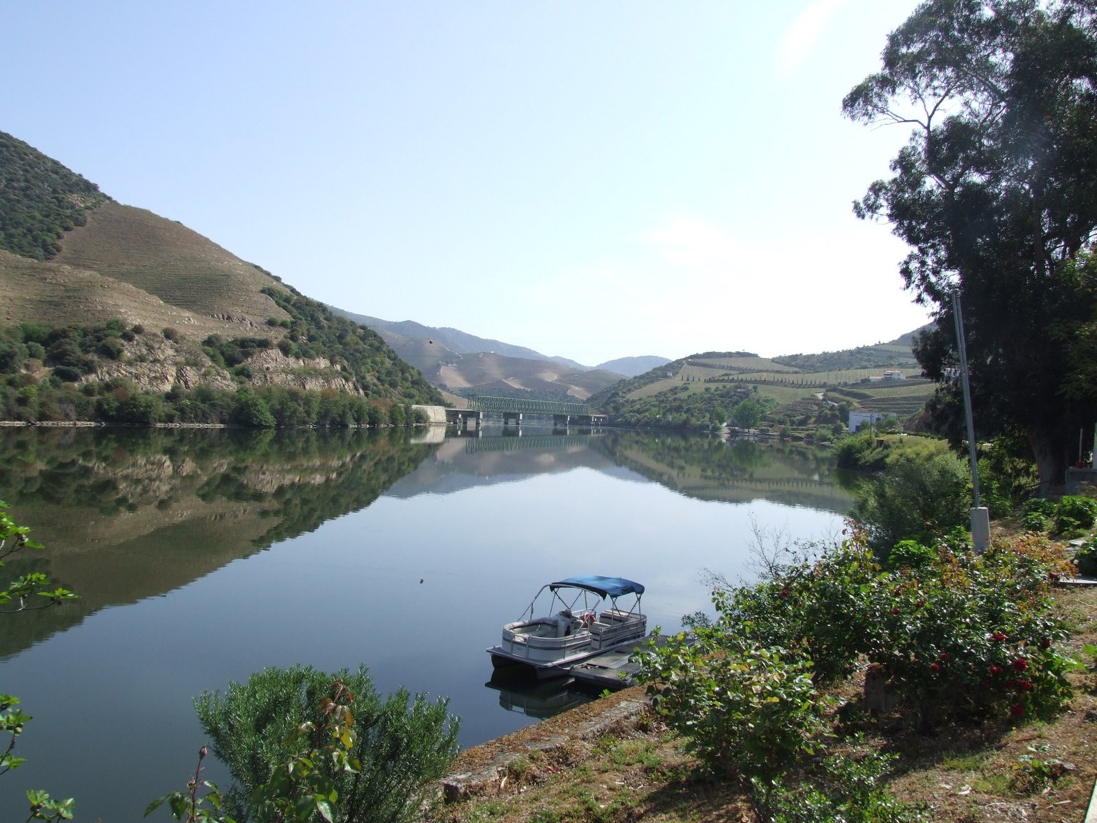 Nelson_Carvalheiro_Douro_Valley (22)