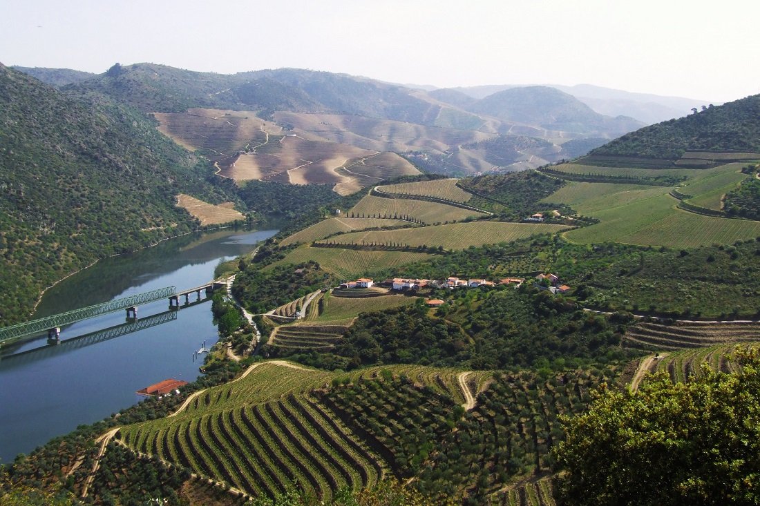 Nelson_Carvalheiro_Douro_Valley (29)