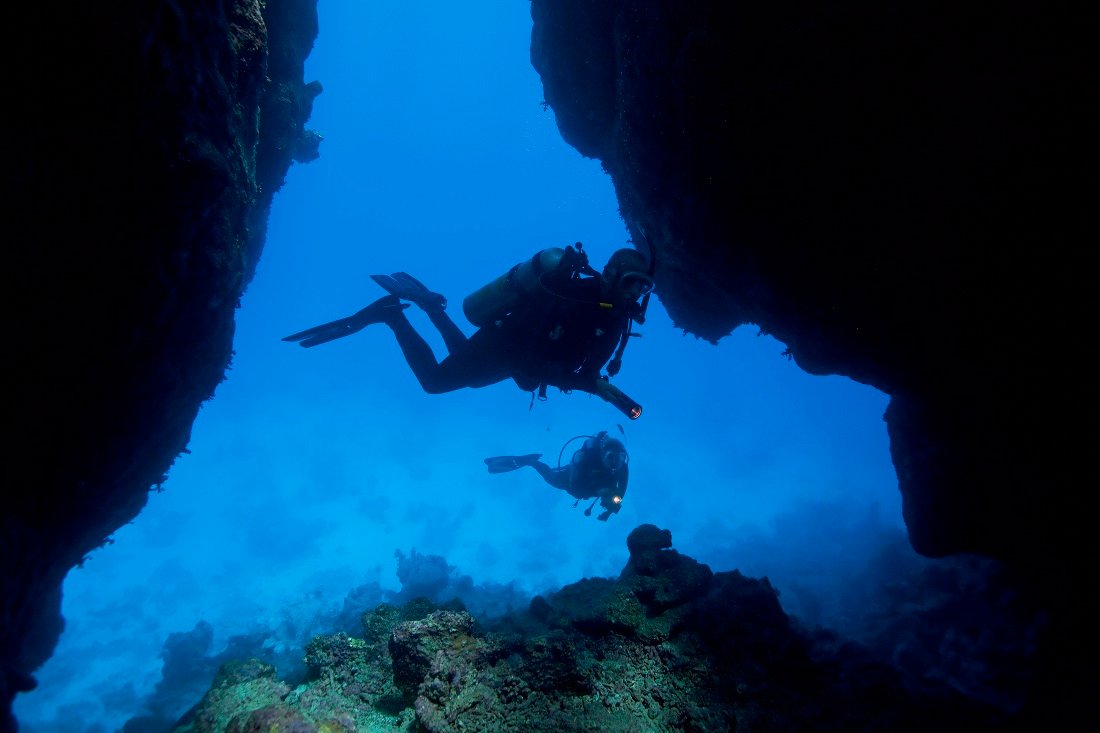 Nelson_Carvalheiro_Madeira_Travel_Guide_Diving