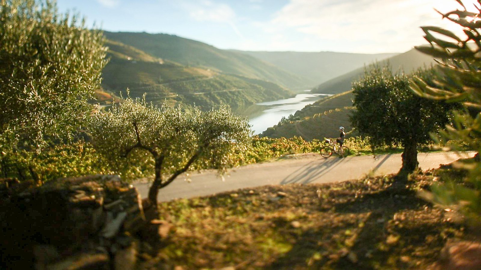 NelsonCarvalheiro Portugal Bicycle Tours (2)