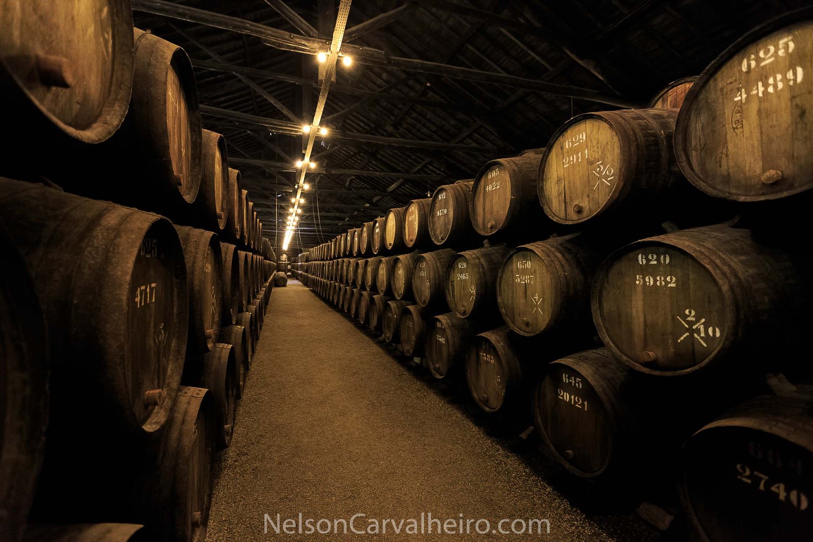 Nelson_Carvalheiro_Portuguese_Taylors_Port_Wine-2