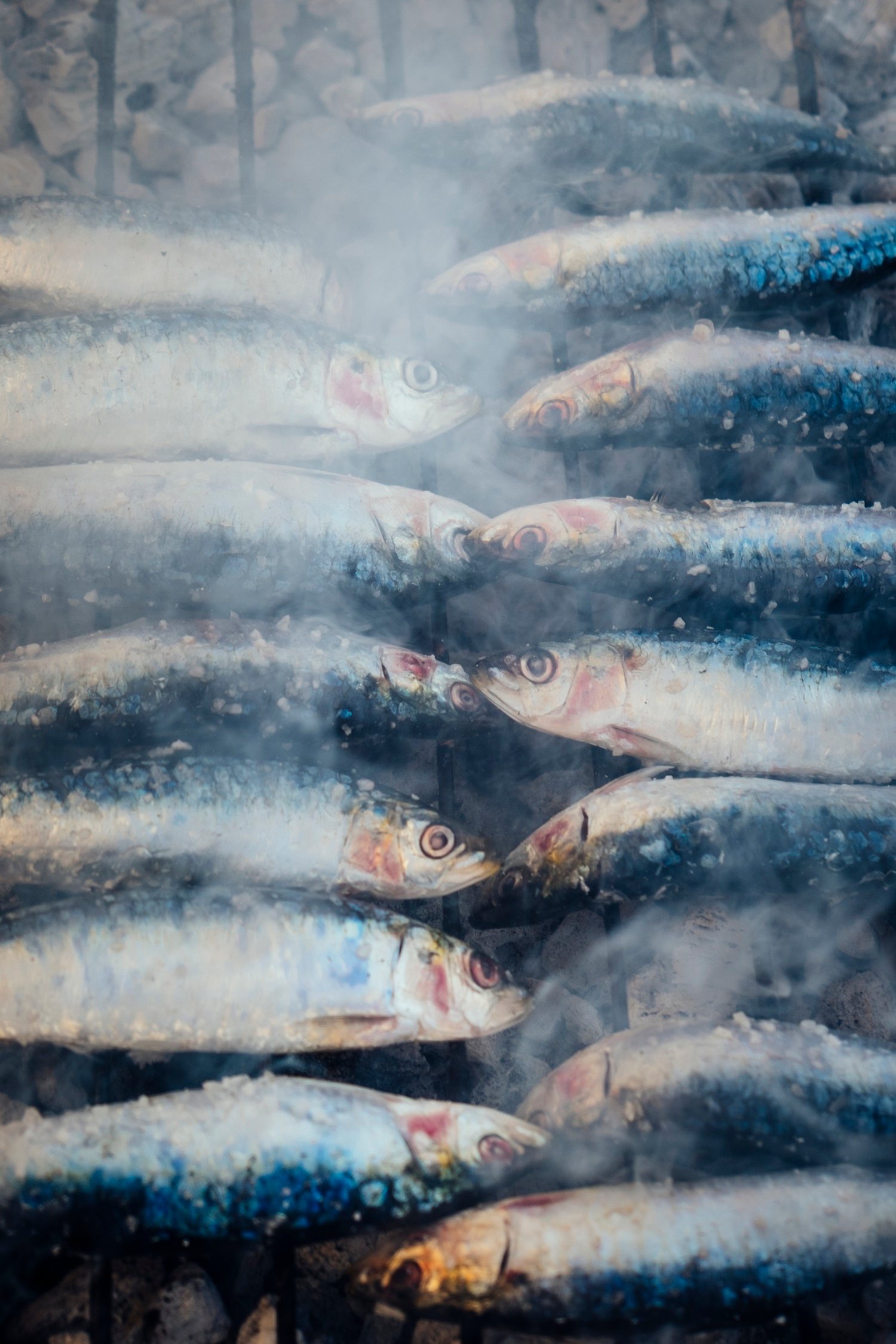 Sardinha_Carvao_Nelson_Carvalheiro_Visit_Centro