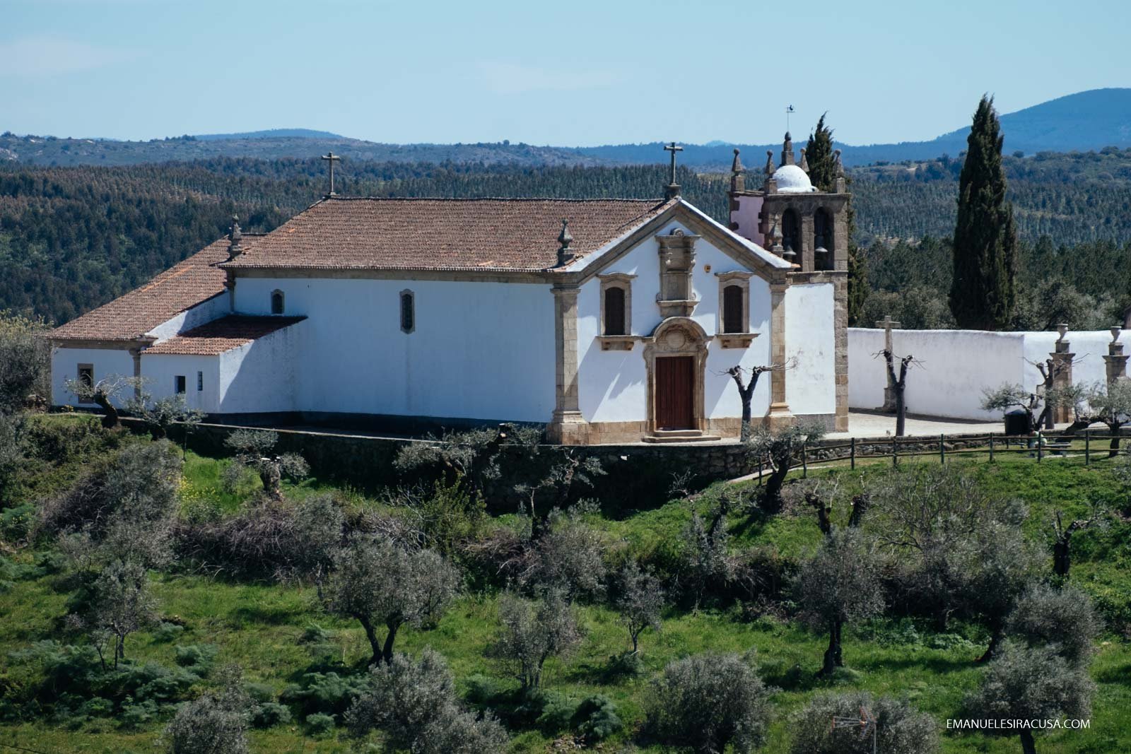Olive trees and a church in Proença a Velha, 2016