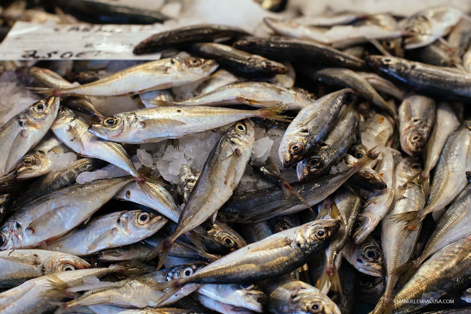 emanuele-siracusa-centro-de-portugal-costa-nova-fish-market-21