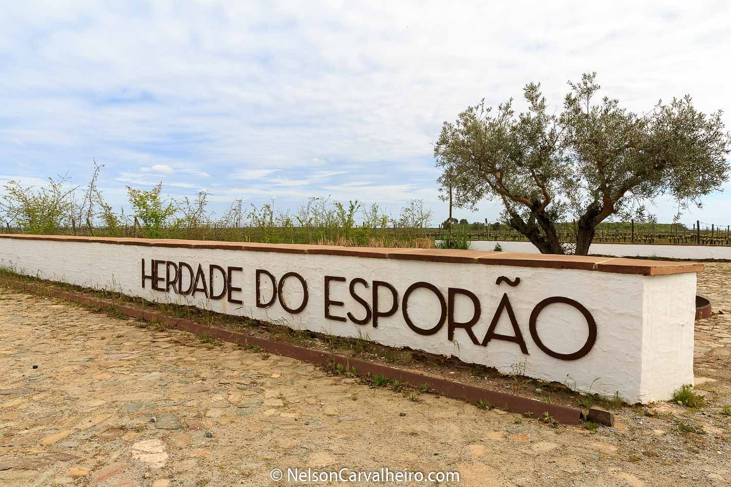 Nelson_Carvalheiro_Alentejo_Wine_Travel_Guide_Herdade_Esporão